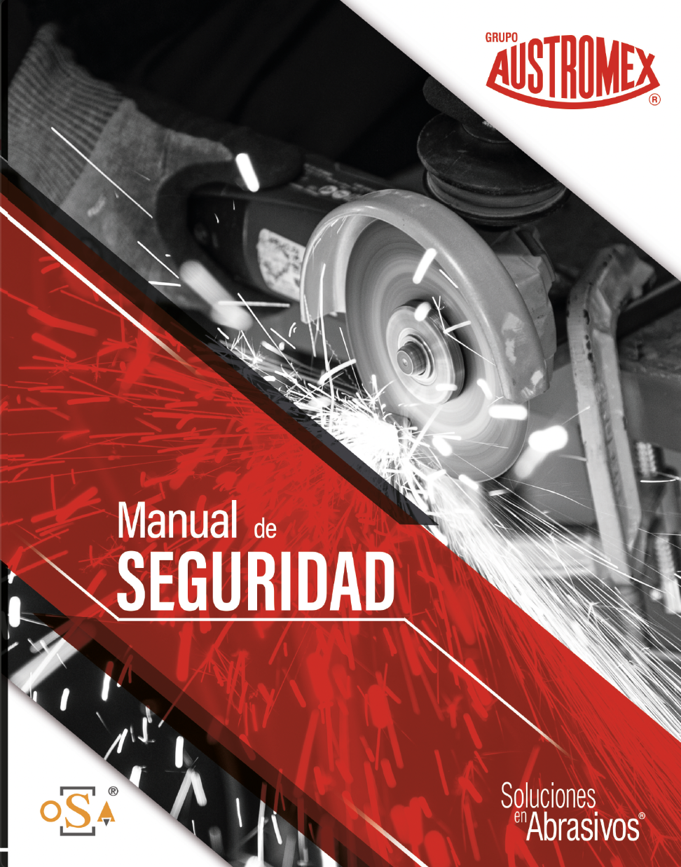 Manual de Seguridad 2025